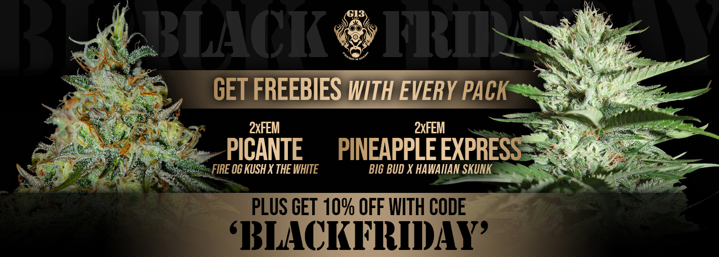 Black Friday promo